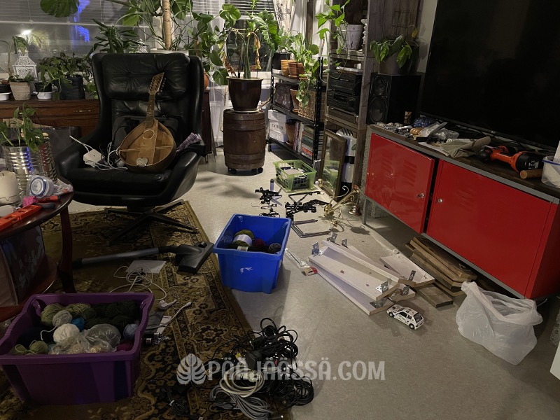 Konmaritus alkamassa