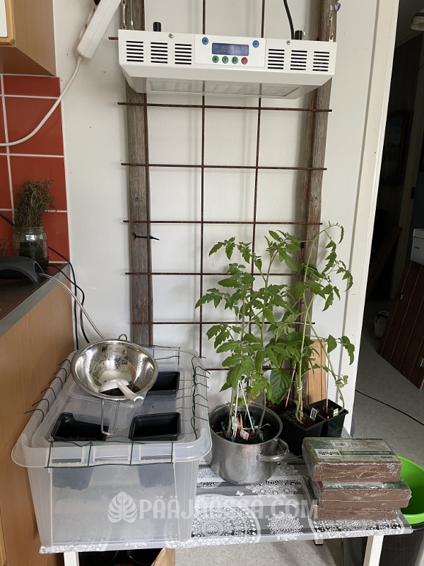 Keskeneräinen suunnitelma vesiviljelylle