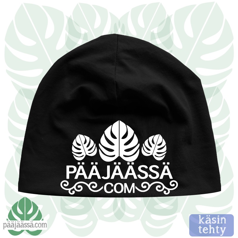 Pääjäässä.com pipo