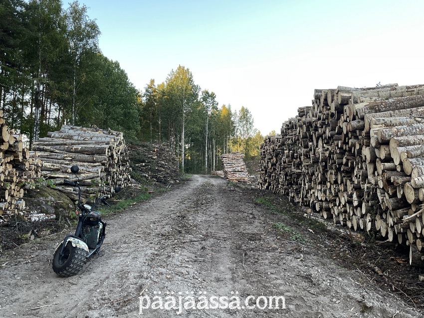 Myrskyn jäljet siivottuna ja pinossa