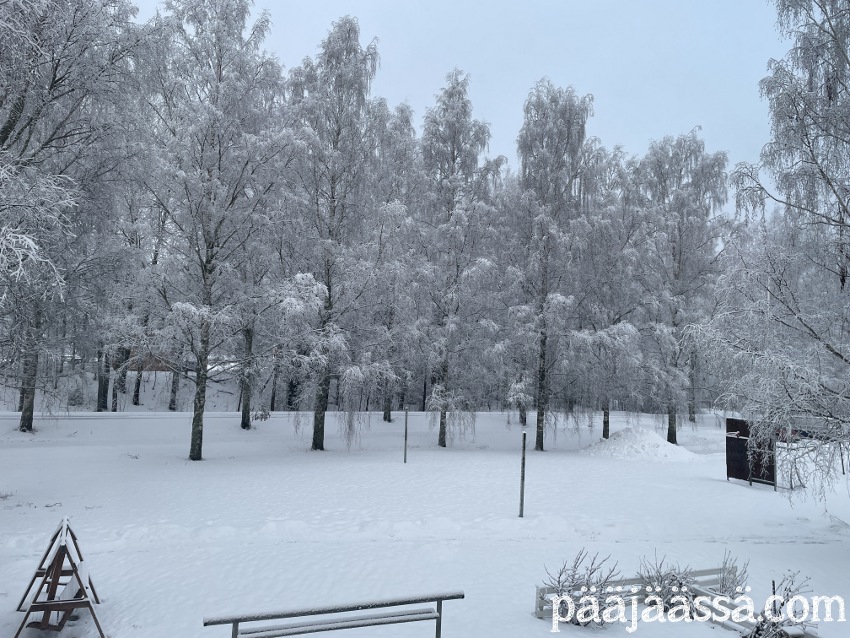 jouluaattona kaunis maisema