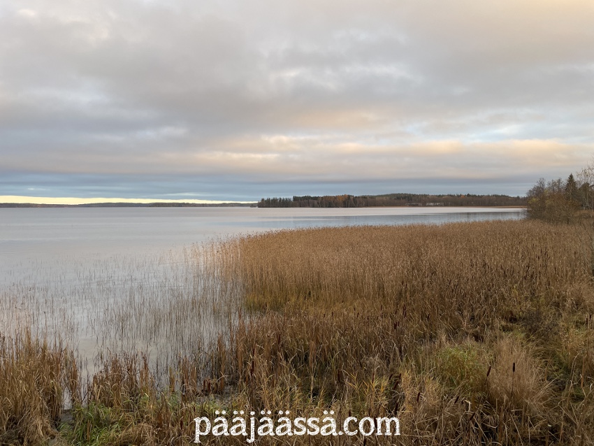 Luonto värjäytyi oranssin siniseksi auringonlaskun aikaan