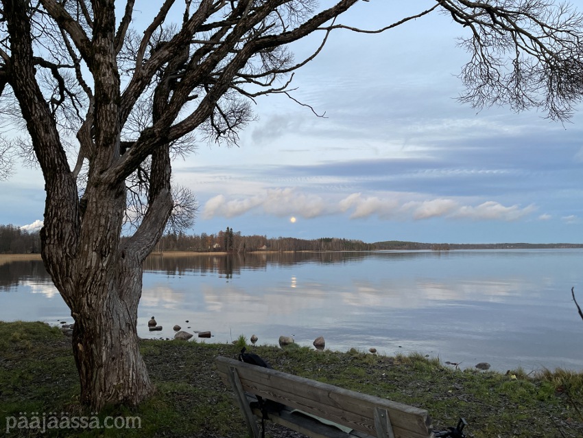 Superkuu 6.11.2025 Lietteen uimarannalta katsottuna