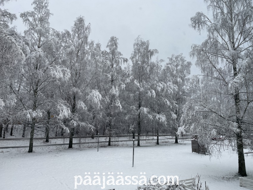 Talvinen maisema ikkunasta katsottuna